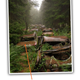 Image for article titled That "70-Year Old Traffic Jam" Isn't Quite What It Seems To Be
